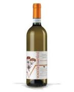 Voerzio Martini - Langhe Bricco Cappellina 2024 (750)